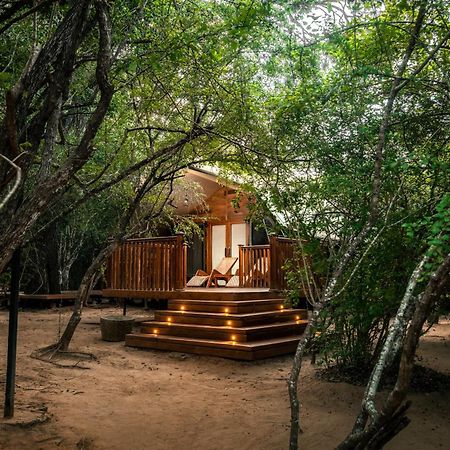 Leopard Reach Yala By Seven Angels Hotel Tissamaharama Bagian luar foto