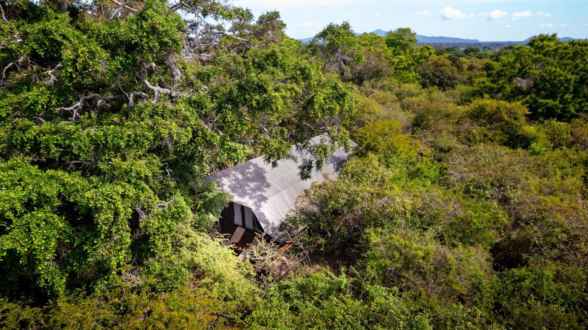 Leopard Reach Yala By Seven Angels Hotel Tissamaharama Bagian luar foto