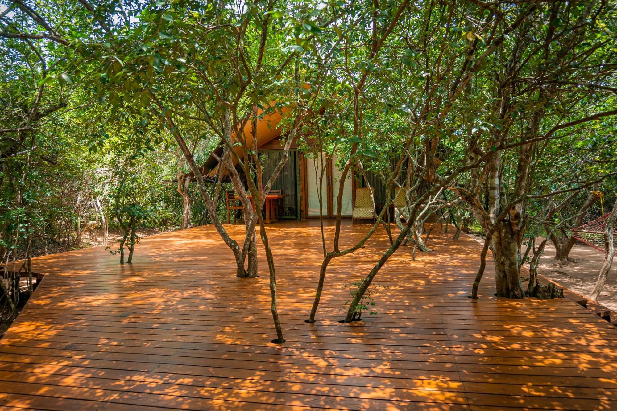 Leopard Reach Yala By Seven Angels Hotel Tissamaharama Bagian luar foto